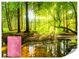 fototapeta-do-sypialni-salonu-las-natura-rzeka-krajobraz-drzewa-3d-200x140