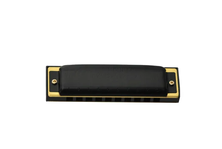 harmonijka-ustna-hohner-pro-harp-ms-c-kod-producenta-562-20-model-hohner-pro-harp