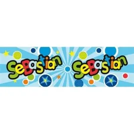 bidon-300ml-sebastian