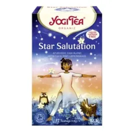 yogi-tea-herbata-star-salutation-17-x-1-9-g