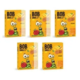 bob-snail-przekaska-mango-bez-dodatku-cukru-zestaw-5-x-60-g