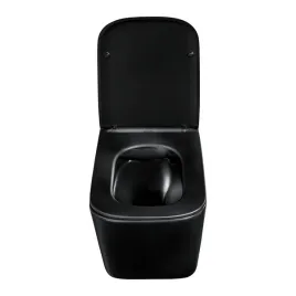 misa-wiszaca-wc