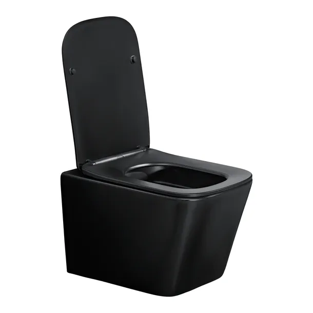 misa-wiszaca-wc