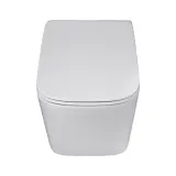 misa-wiszaca-wc