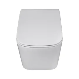 misa-wiszaca-wc