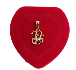 n2443-zlota-zawieszka-znak-zodiaku-koziorozec-stal-chirurgiczna-18k