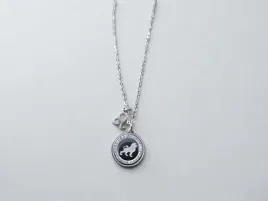 celebrytka-znak-zodiaku-lew-stal-srebrna-blueberry