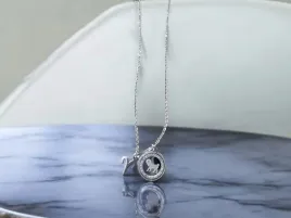 celebrytka-znak-zodiaku-baran-stal-srebrna-blueberry