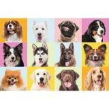 puzzle-trefl-60-elementow-slodkie-psiaki-stan-nowy