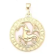 zawieszka-zloty-znak-zodiaku-stal-316l-koziorozec