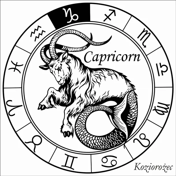 lampka-led-3d-zodiak-gwiezdny-hologram-z-twoim-znakiem-kolor-przezroczysty-dlugosc-wysokosc-20-cm