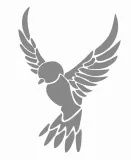 lustro-akrylowe-ptasi-lot-skrzydla-elegancji-szerokosc-500-mm