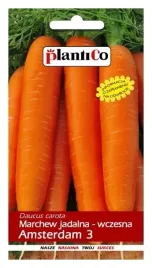 marchew-jadalna-amsterdam-3-5g-nasiona-plantico