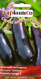 oberzyna-baklazan-violetta-lunga-3-nasiona-1g-nasiona-plantico