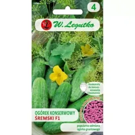 ogorek-sremski-nasiona-zaprawiane-plenny-legutko