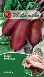 burak-cwiklowy-cylindra-nasiona-otoczkowane-legutko