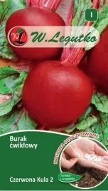 burak-cwiklowy-czerwona-kula-nasiona-otoczkowane-legutko