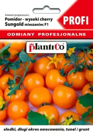 pomidor-pod-oslony-slodki-sungold-f1-niezwykle-smaczny