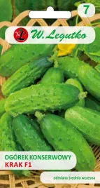 ogorek-krak-f1-konserwowy-plenny-nasiona-legutko