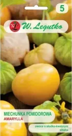 miechunka-pomidorowa-amarylla-05-g-nasiona-legutko