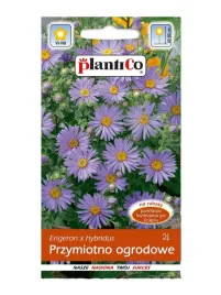przymiotno-ogrodowe-02g-kwiat-astrowaty-nasiona-plantico