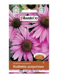 rudbekia-purpurowa-krolowa-wieloletnia-rozowa-05-g-nasiona-plantico
