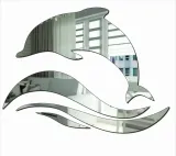 lustro-akrylowe-morski-skoczek-stan-nowy