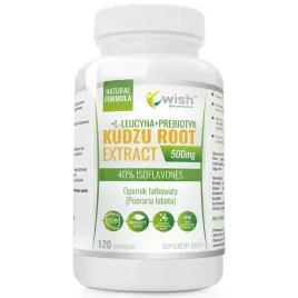wish-kudzu-root-extract-500mg-120caps