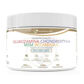 progress-labs-glukozamina-chondroityna-msm-witamina-c-250g