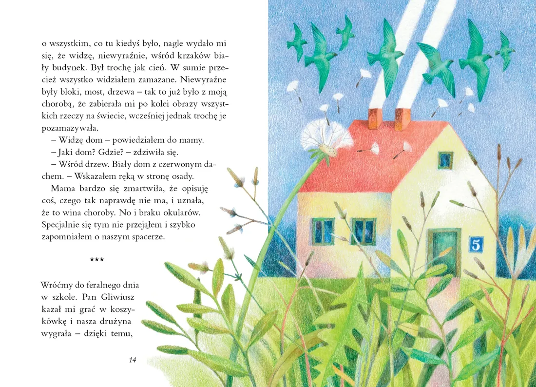 dom-numer-piec-stan-nowy