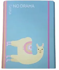 teczka-4cm-z-gumka-no-probllama-na-dokumenty-skrzydlowa-rozne-kolory