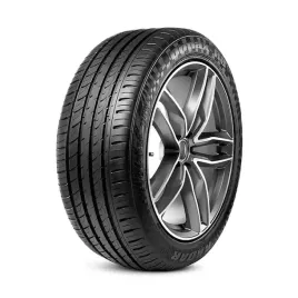 2x-radar-dimax-r8-295-35r21-107y-xl