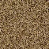 kmin-rzymski-ziarno-200g-stan-nowy