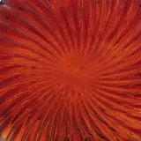 wazon-shell-czerwony-25cm-marka-atmosphera