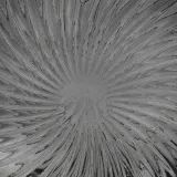 wazon-shell-szary-szklany-32cm-marka-atmosphera