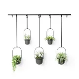 kwietnik-triflora-black-5-stan-nowy