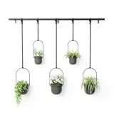 kwietnik-triflora-black-5-stan-nowy-kod-producenta-0028295387385