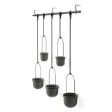 kwietnik-triflora-black-5-stan-nowy-rodzaj-oslonka