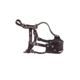kaganiec-ze-skory-zabudowany-dla-amstaffa-obwod-pyska-30-cm
