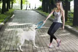 pitchdog-stan-nowy-waga-200-g