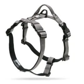 szelki-typu-guard-dla-psa-truelove-lumen-lite