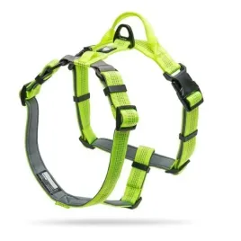 szelki-typu-guard-dla-psa-truelove-lumen-lite