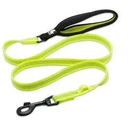 smycz-dla-psa-truelove-lumen