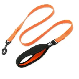smycz-dla-psa-truelove-lumen