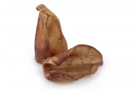 gryzaki-naturalne-ucho-wieprzowe-1-szt