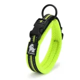 obroza-dla-psa-truelove-active-rozmiar-xxl-kolor-odcienie-fioletowego