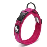 obroza-dla-psa-truelove-active