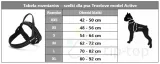 szelki-dla-psa-truelove-active-wielkosc-psa-maly-pies