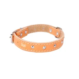 obroza-ozdobna-ze-skory-podszyta-filcem-classic-naturalny-32-40-cm