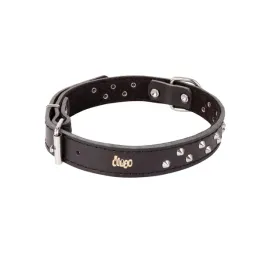 obroza-ozdobna-ze-skory-podszyta-filcem-classic-czarny-45-53-cm